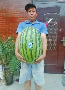 热门大瓜每日大赛